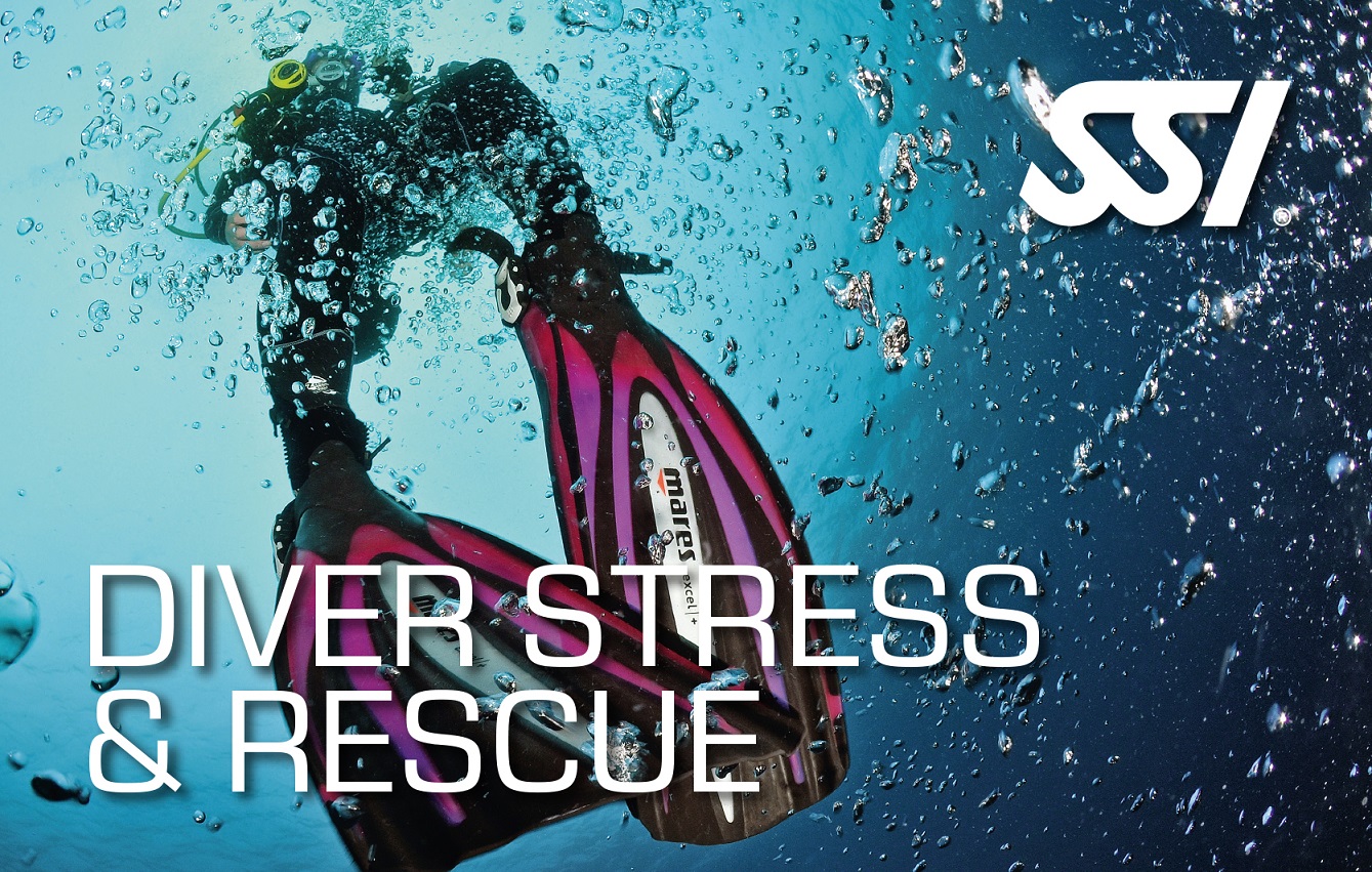 Image of SSI Diver Stress and Rescue certification card